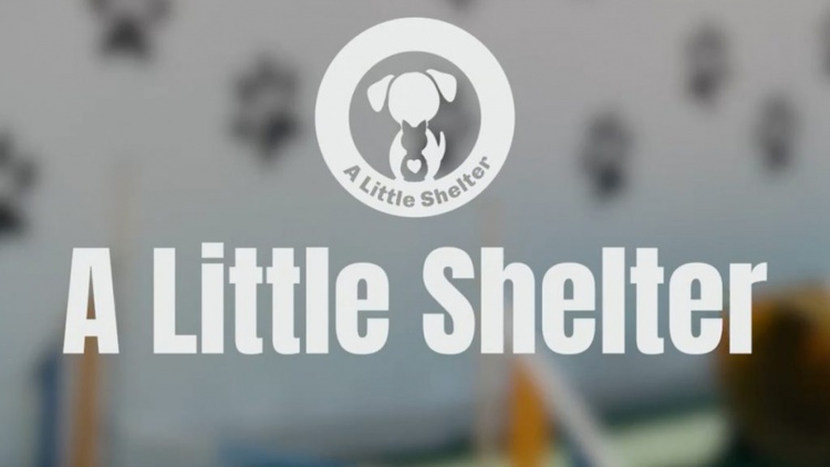 ΠΑΕ Παναθηναϊκός: Χορηγός στη φανέλα μέχρι τέλος Φεβρουαρίου ο οργανισμός «A Little Selter»