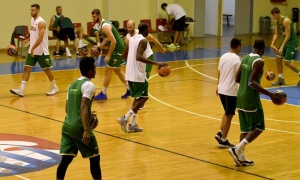 Τα χιλιόμετρα του Παναθηναϊκού στην Ευρωλίγκα (pic)