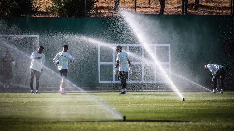 Το νέο οργανόγραμμα της Ακαδημίας του Παναθηναϊκού - Ριζικές αλλαγές στο «τριφύλλι»