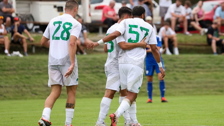 Φιλικό ξεμούδιασμα με 14 γκολ για τον Παναθηναϊκό