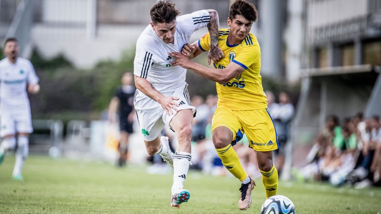 Τα highlights από το Παναθηναϊκός - Πετρολούλ (vid)