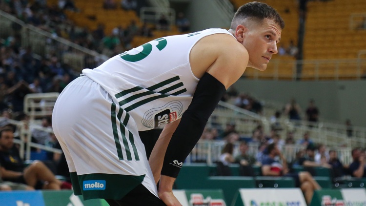 Ο Ερυθρός Αστέρας θέλει τον Νέντοβιτς