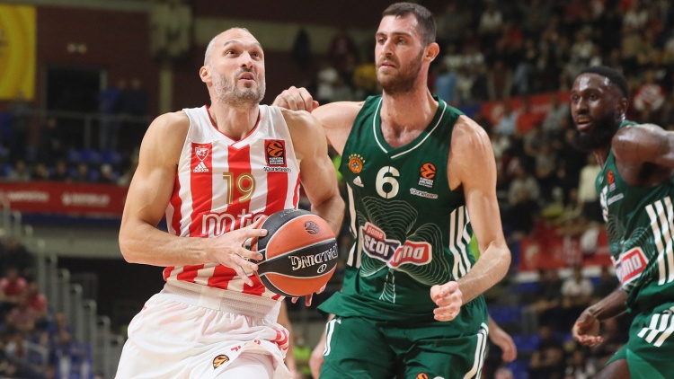 Στη «Χάλα Πιονίρ» το ματς του Παναθηναϊκού με τον Ερ. Αστέρα - Πιθανότατα εκτός ο Νέντοβιτς