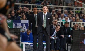 Πιτίνο: «Ακόμη ψάχνουμε το τέλειο παιχνίδι» (pic)