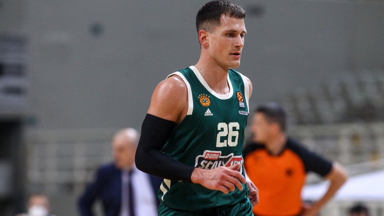 Επιστρέφει στην Ελλάδα ο Νέντοβιτς (pic)