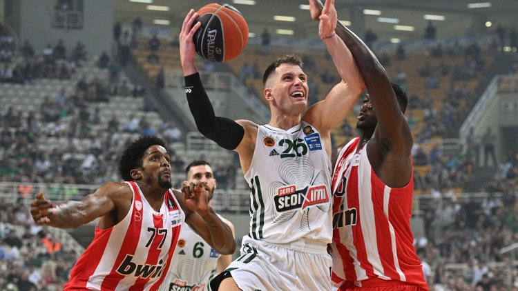 Ρεκόρ τελικών σε ριμπάουντ με 500άρη Νέντοβιτς